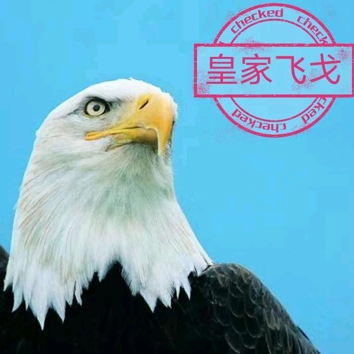 🦅飞越高山去寻你🦅