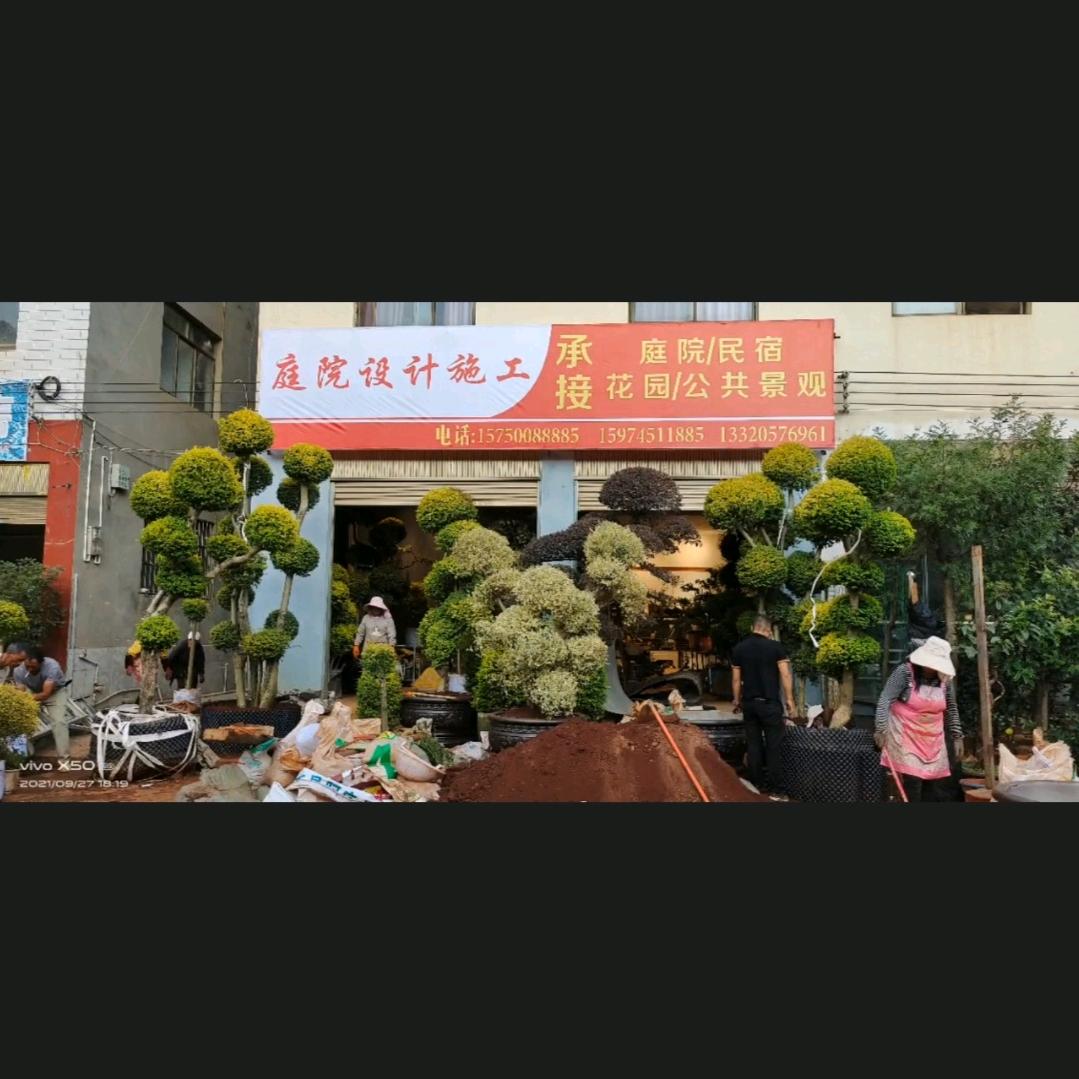庭院设计施工维护