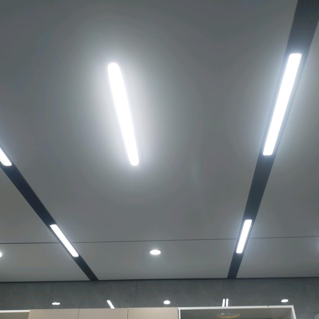 西阳红