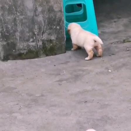 在成都博一博