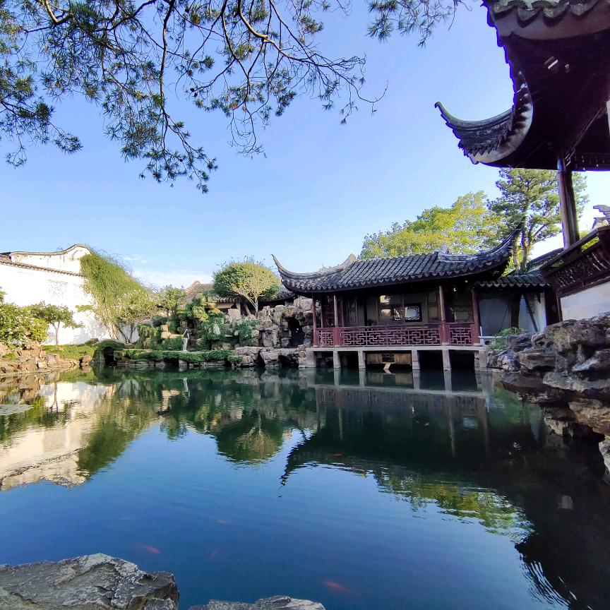 汤姆叔叔