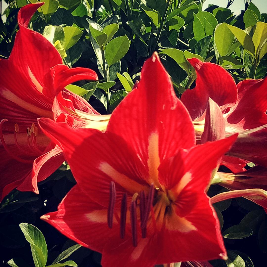 摆地摊麻辣烫串