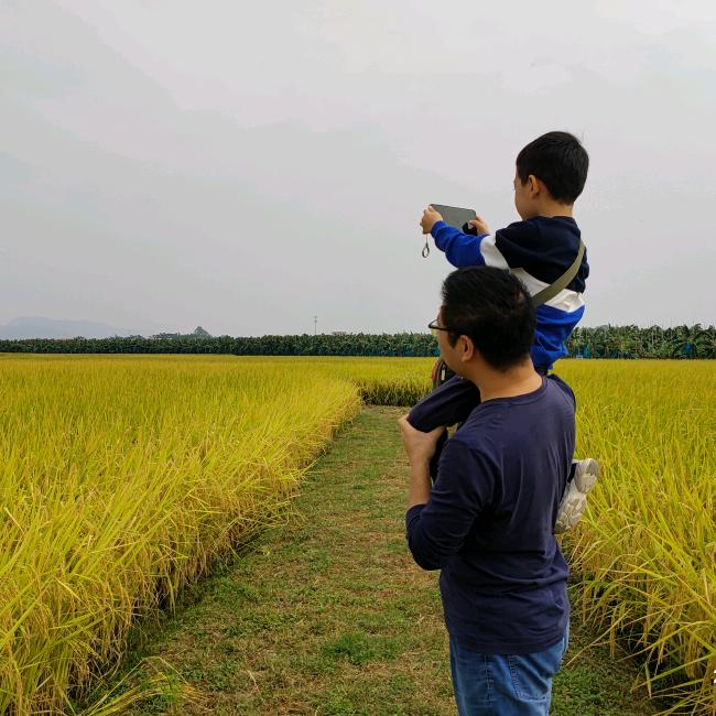 胖杰
