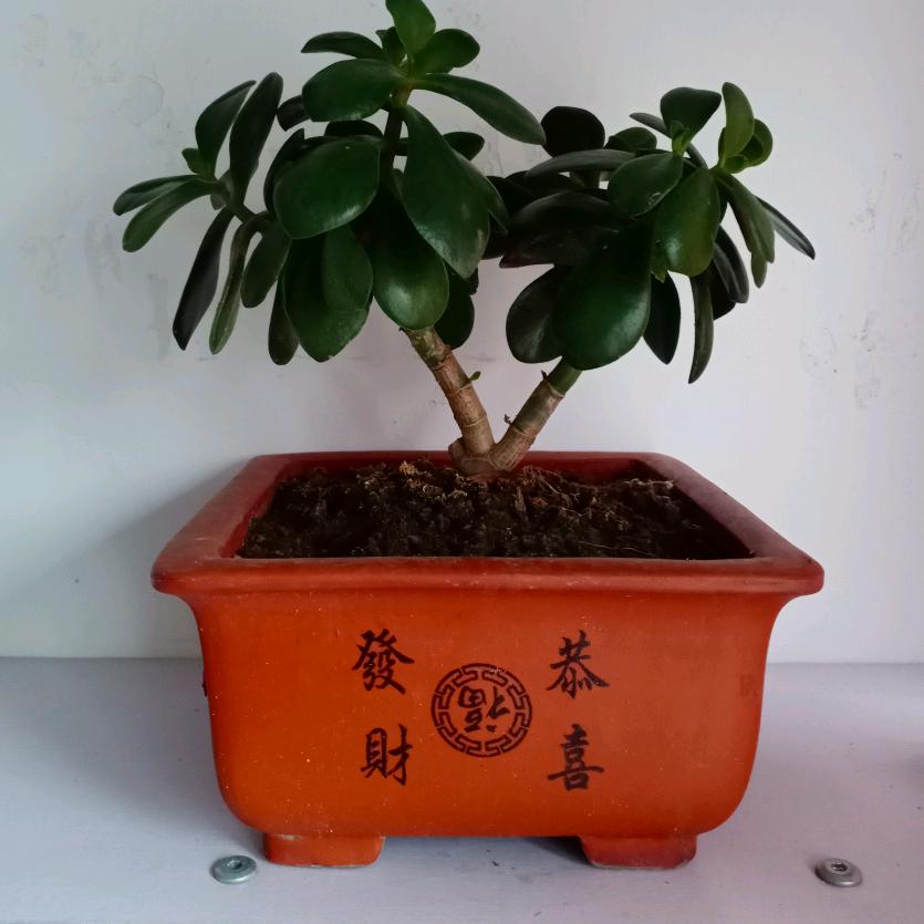 想开一点