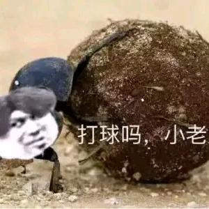 🌈瘦巴巴的老爷们儿，