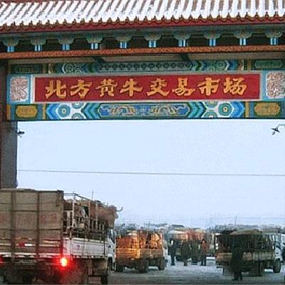 辽宁北方黄牛交易市场