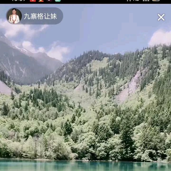 木雕修复，根雕，，张