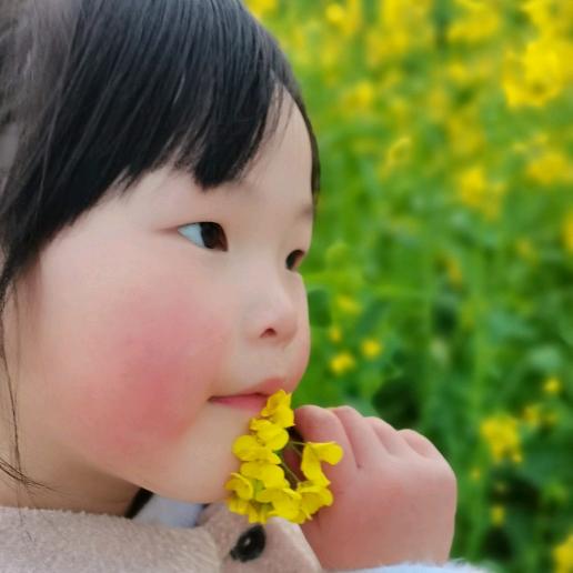 人生如流水