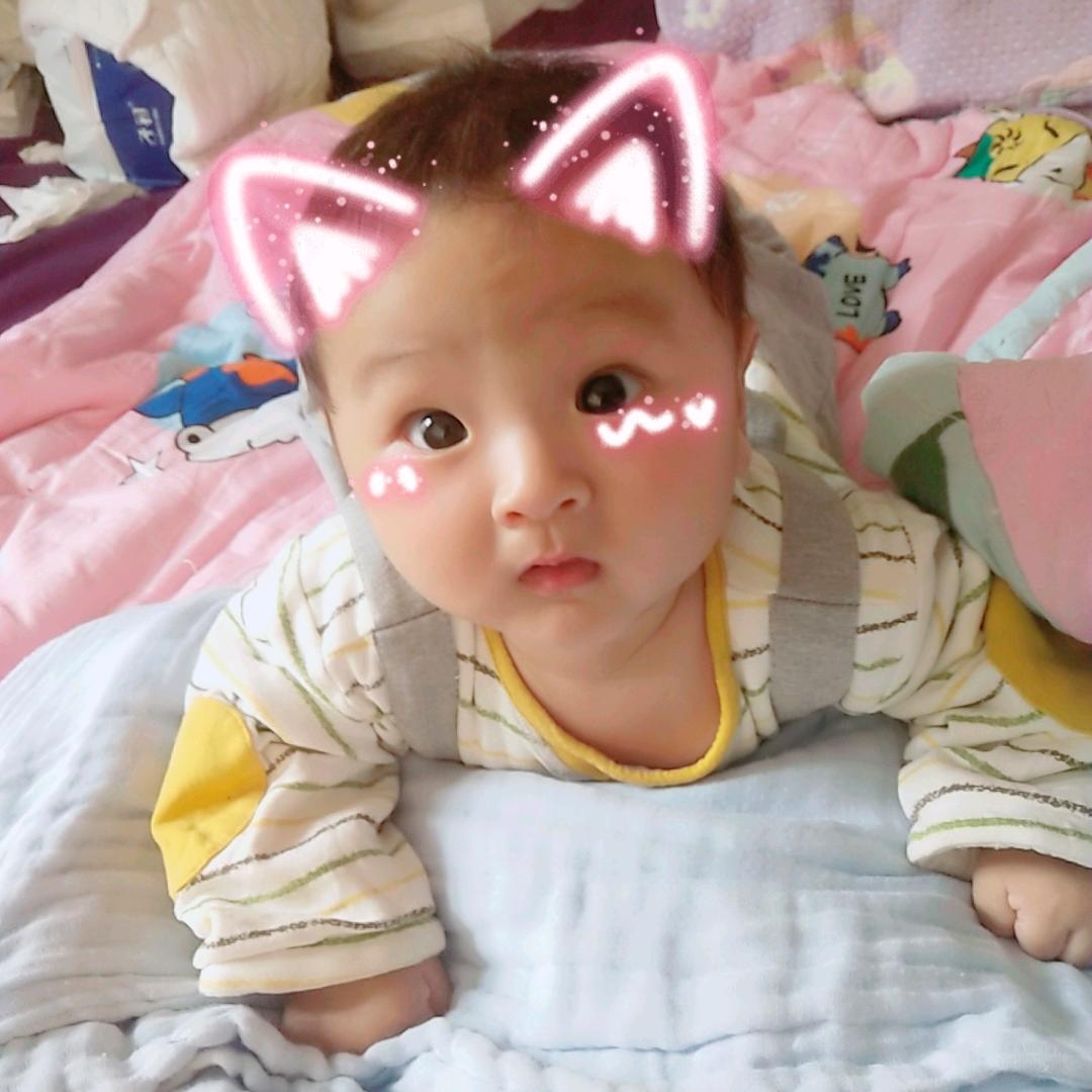 小茁茁