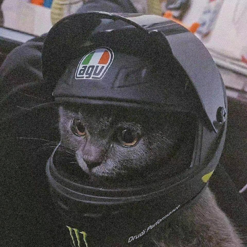 宋認頭