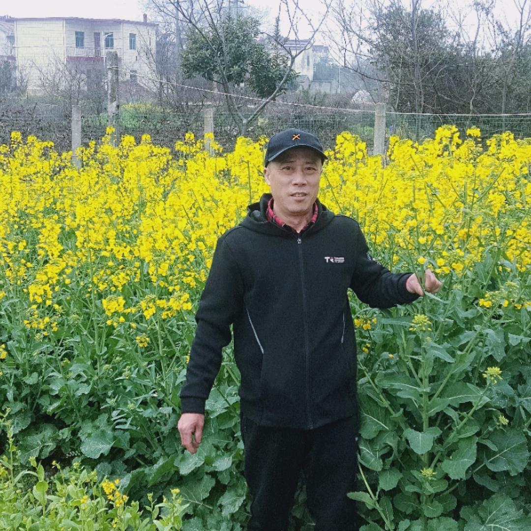 龙腾虎跃
