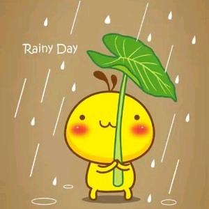 遮风挡雨头像