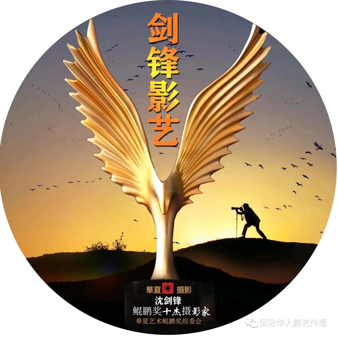 剑锋🎖关注