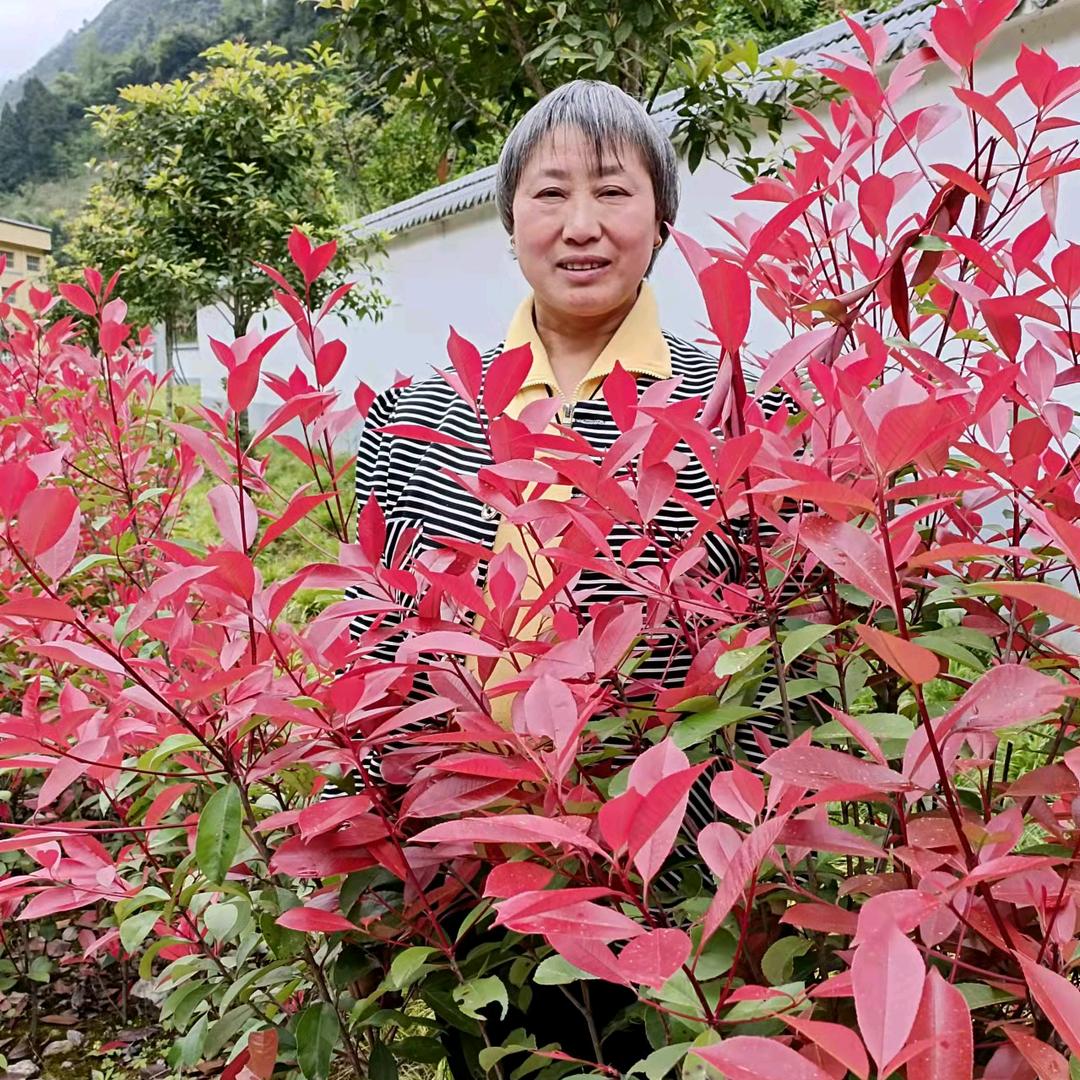 马姐