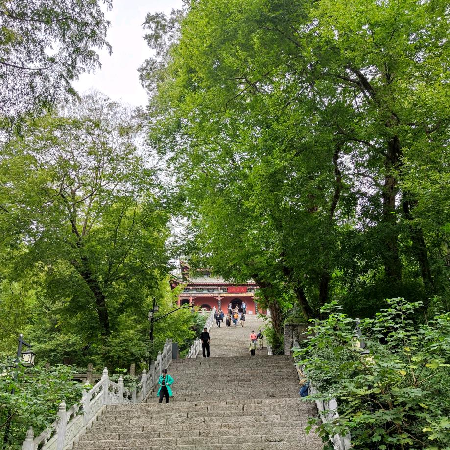 立