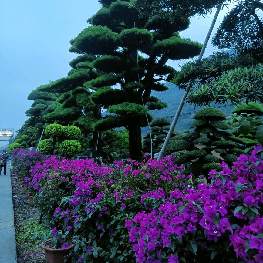 有你就足够