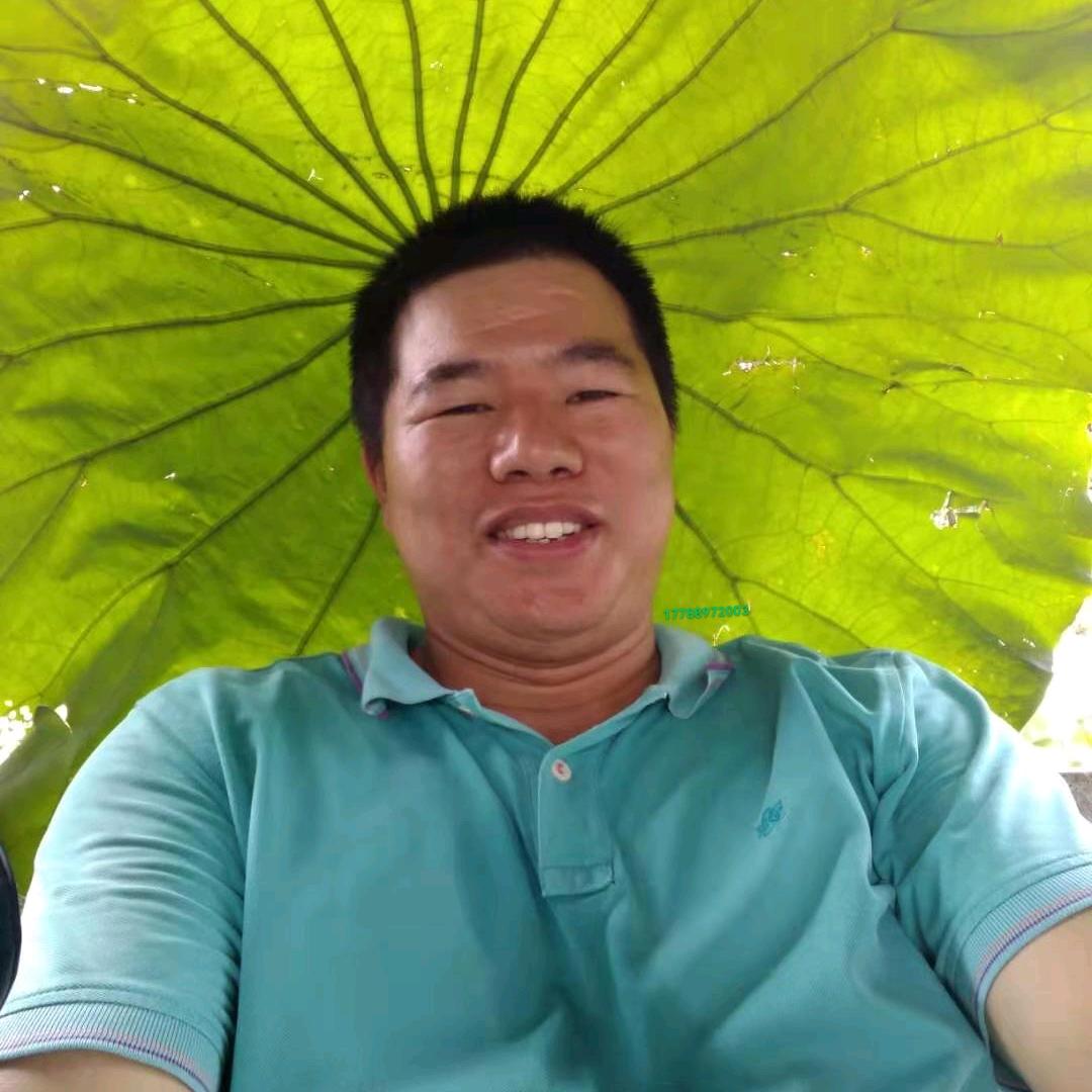 玫瑰酒仙