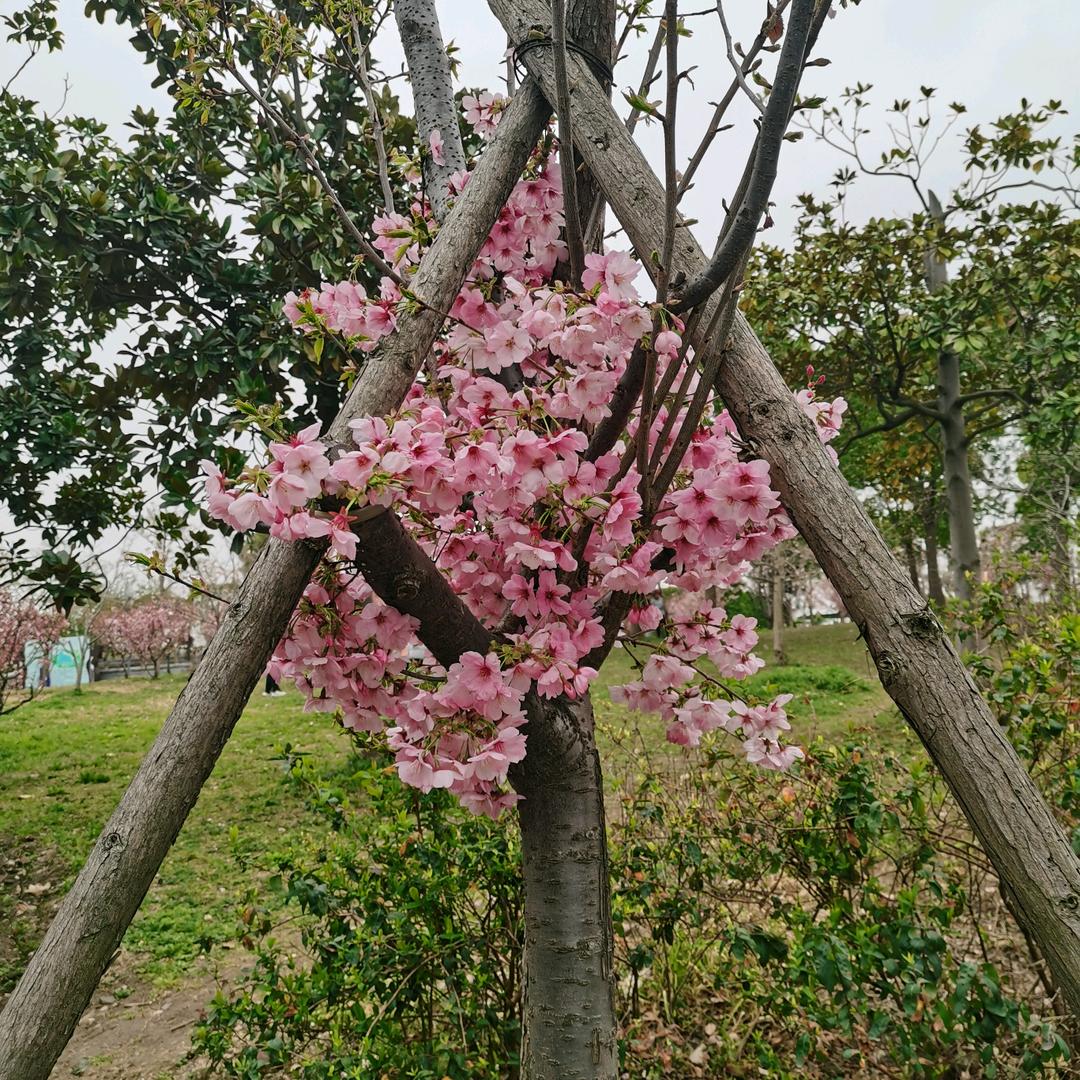 相遇是缘