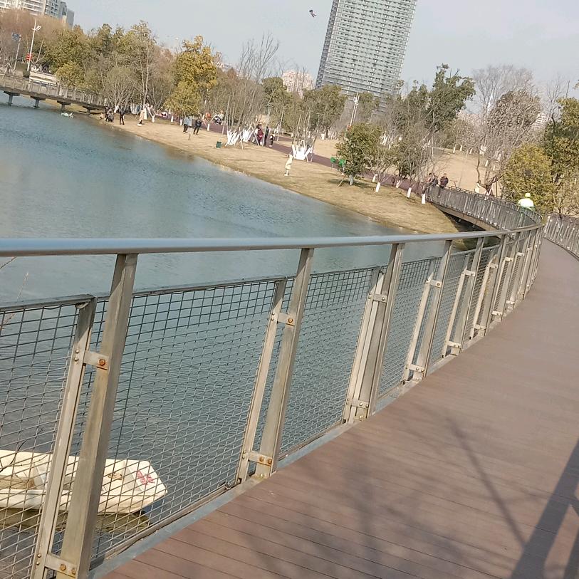 蓝蓝