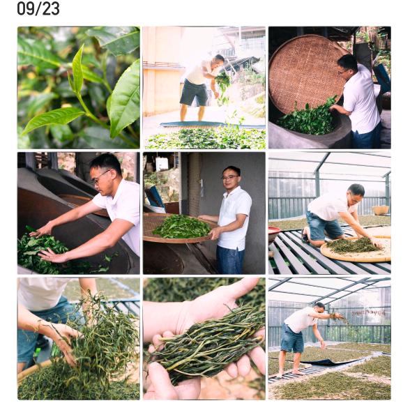 茶好哥.@景迈见山云宿酒店