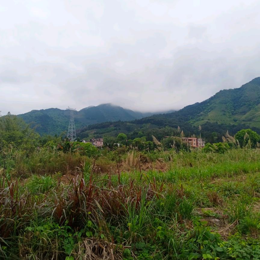 爷就这么潇洒