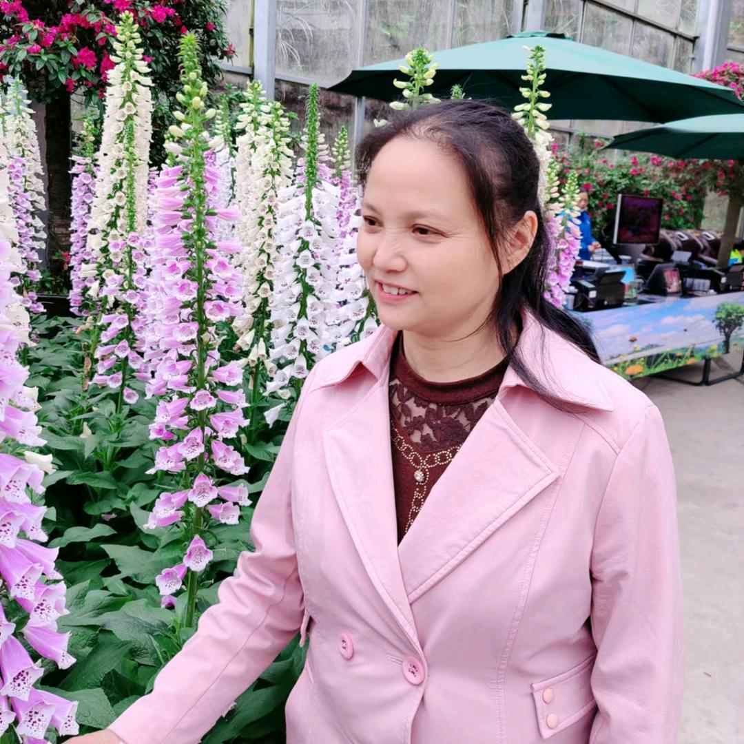 繁花如梦