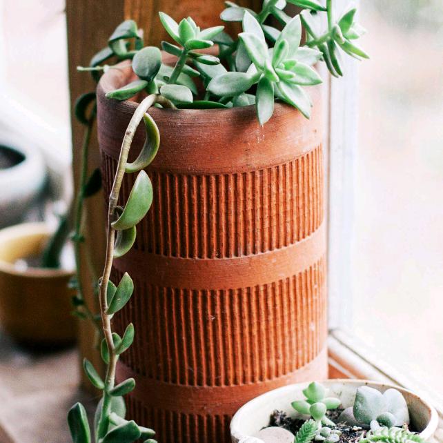 紫云味道(美食自媒体)