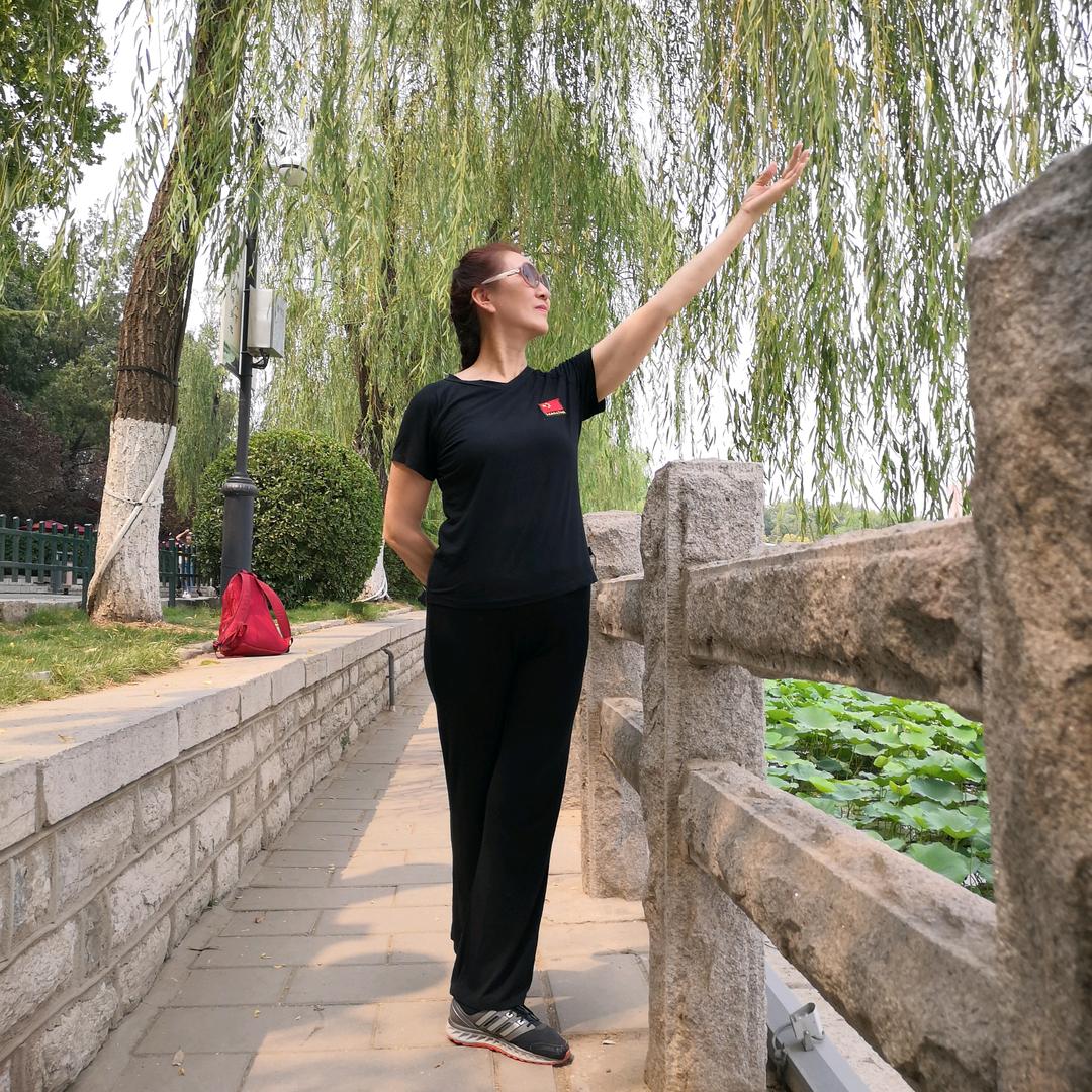 奔奔猪