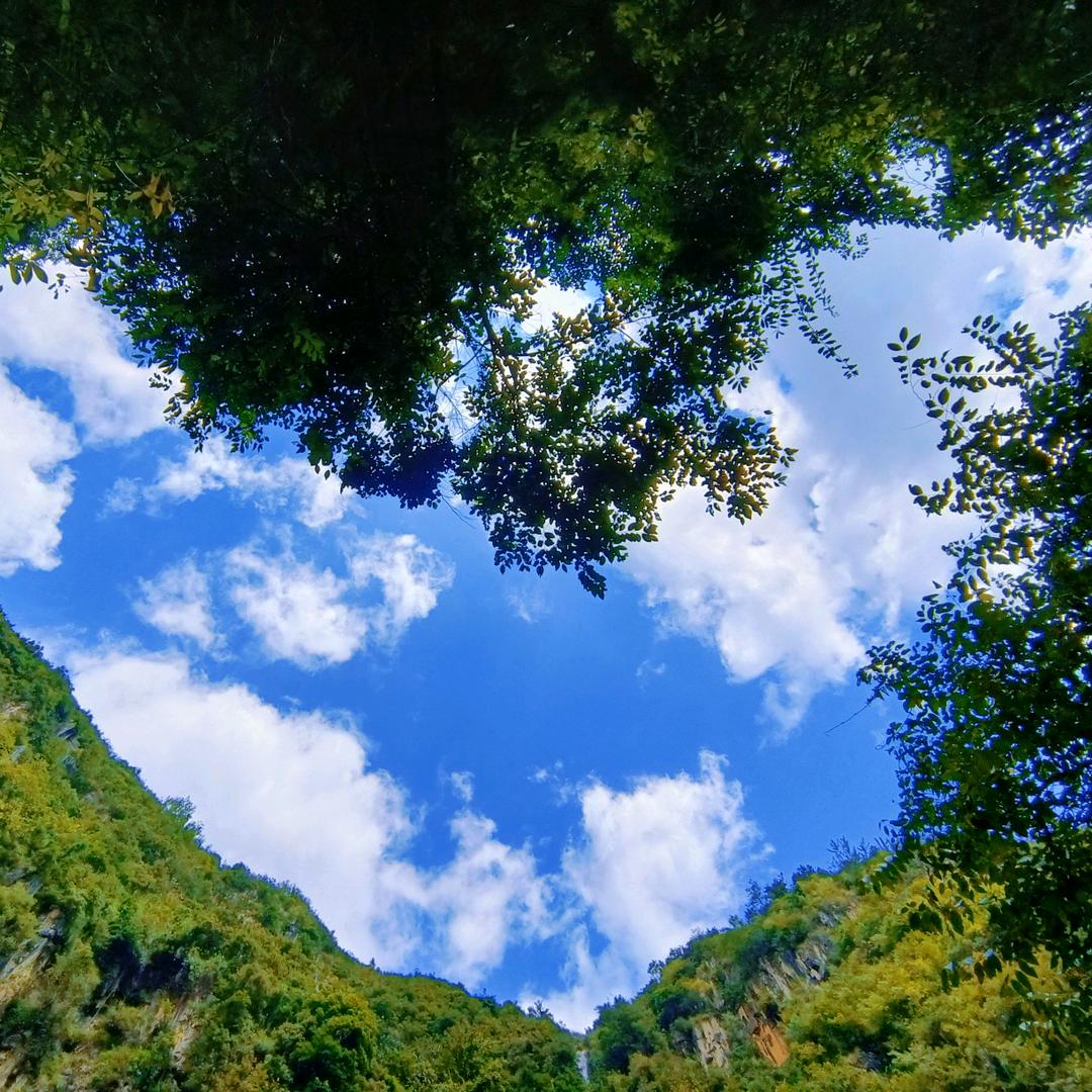 曲靖大搜索