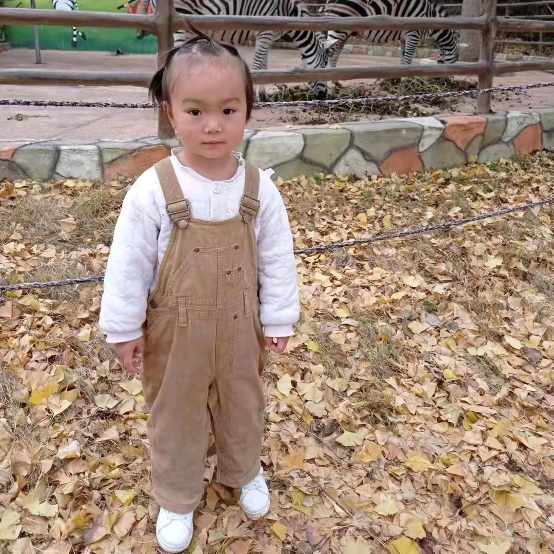 美丽