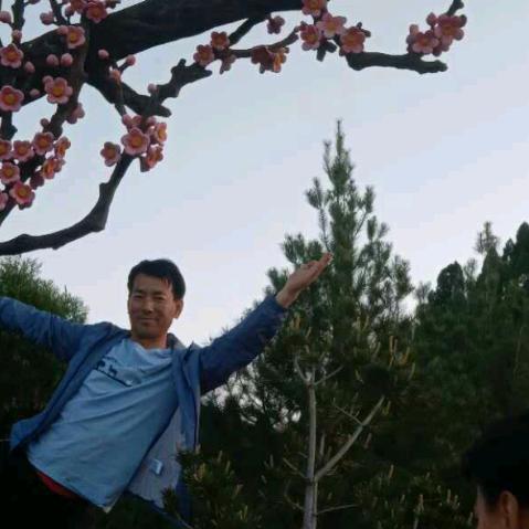 明月