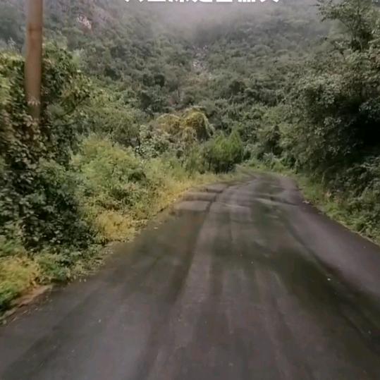 斌