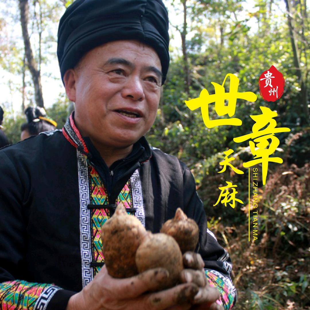 世章天麻雷山县方祥乡世章天麻开发有限公司滋补养生专卖店