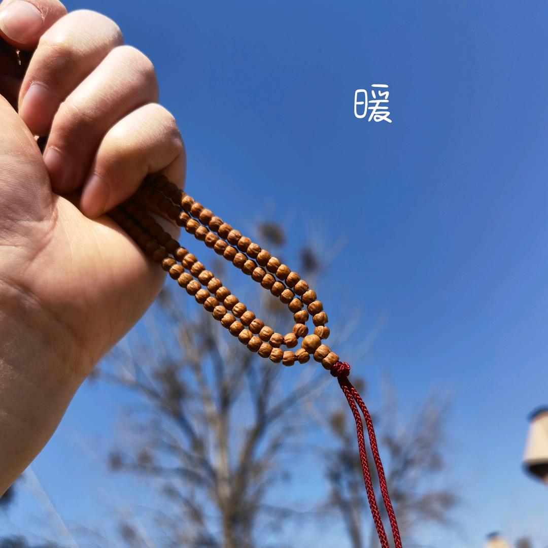 小liu的惬意生活