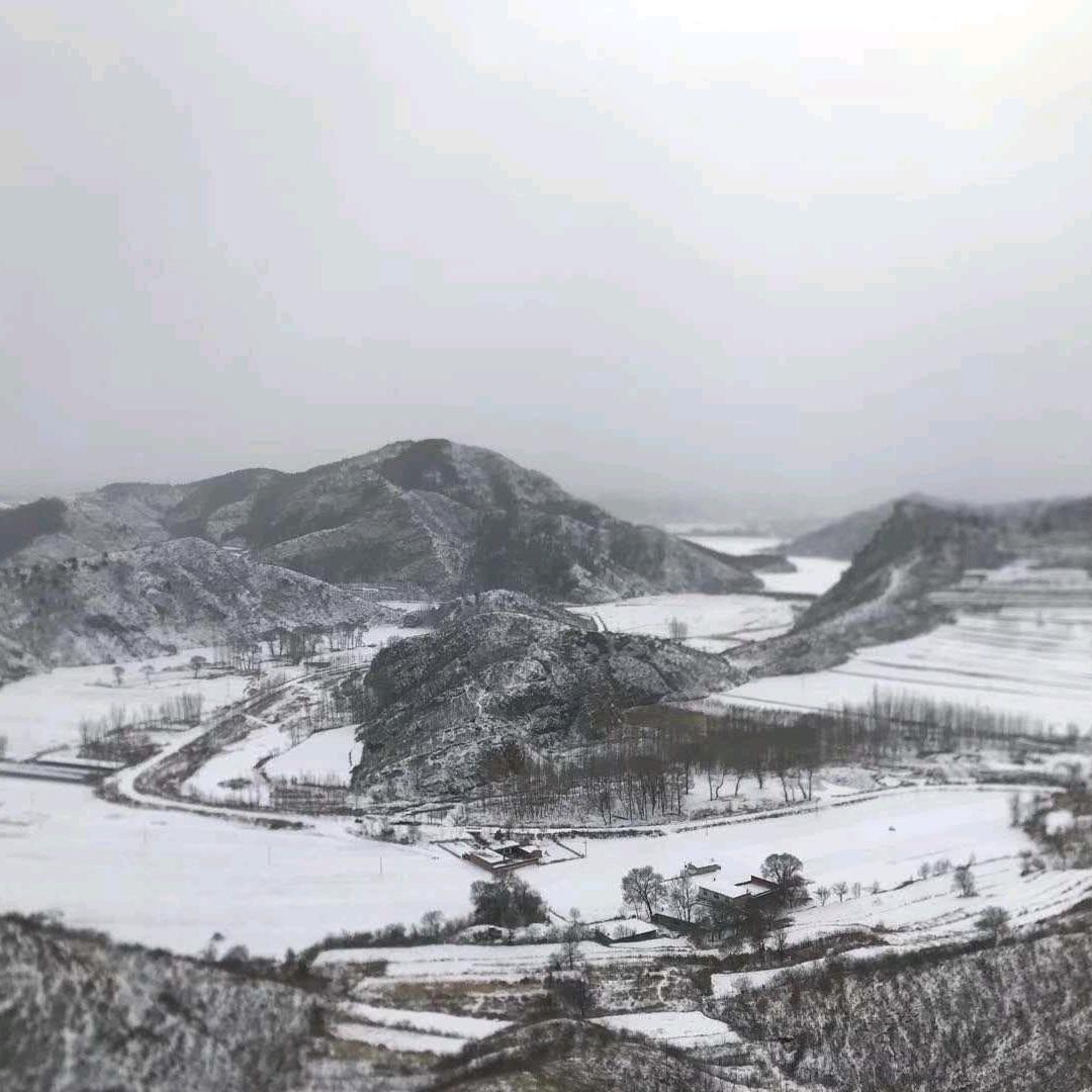 俊哥