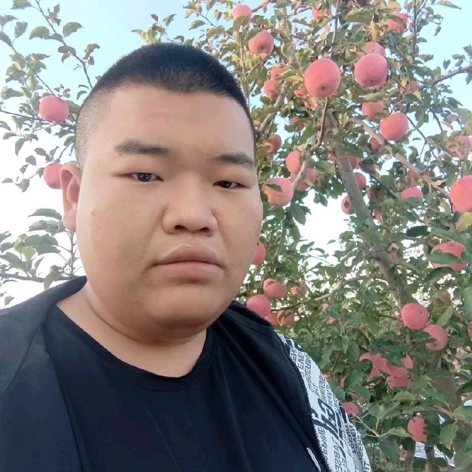 澄城小叶