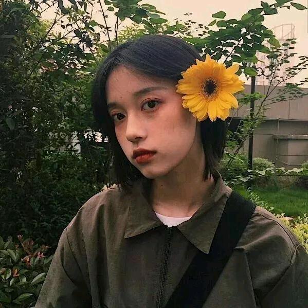 骑驴看太阳☀️头像