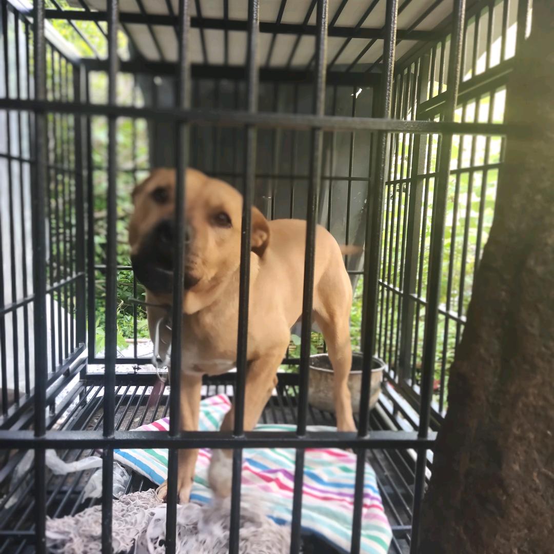 梦奇激光对外加工