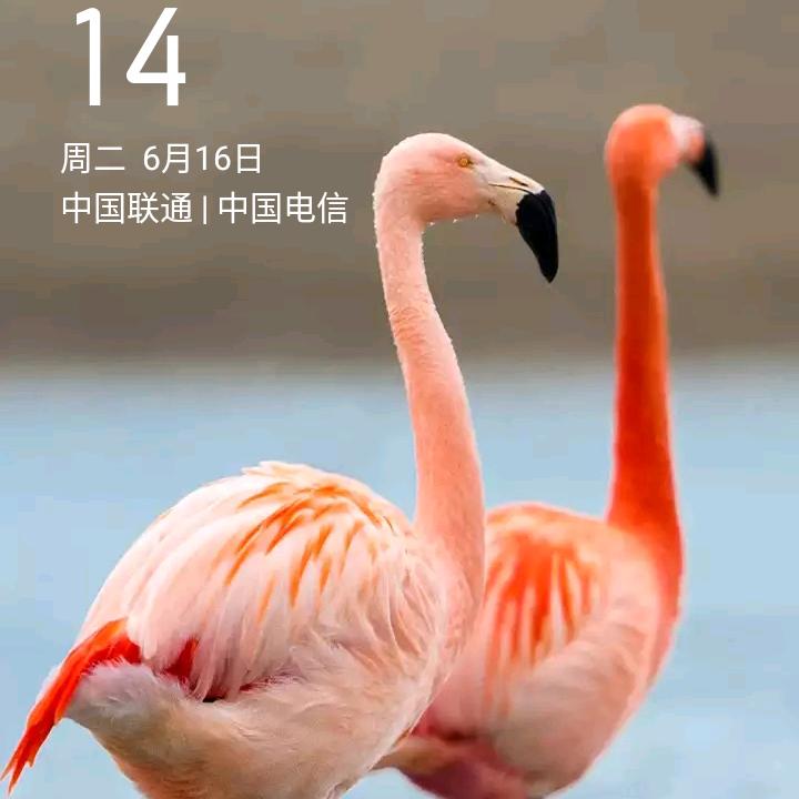 涂必田
