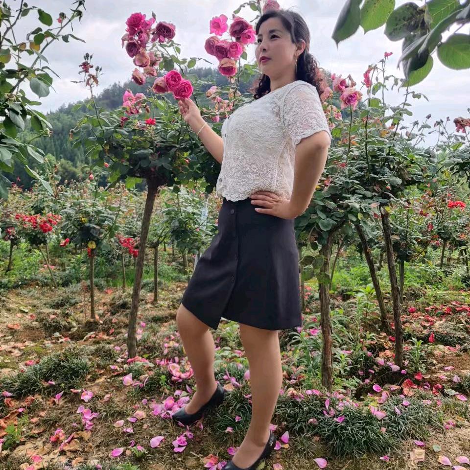 情情🌹🌹🌹🌹🌹617