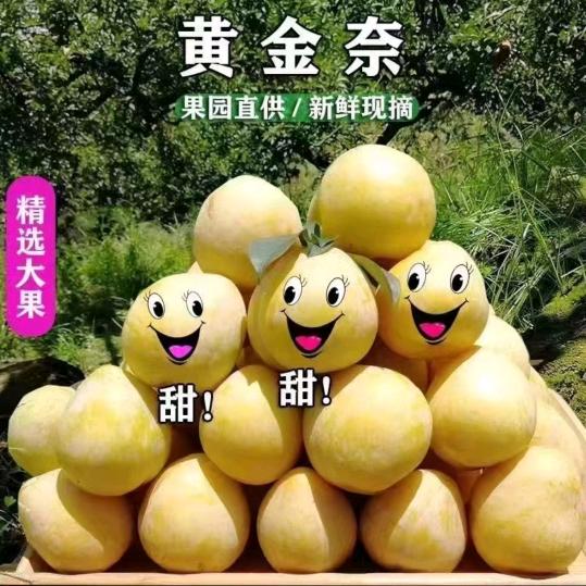 黄金奈李批发中