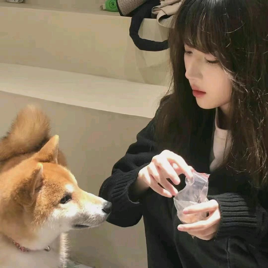 小胡同学.