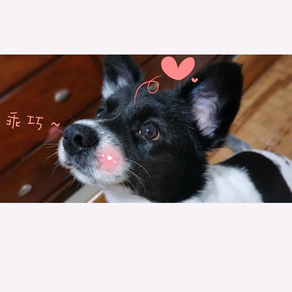 玛卡巴卡👏早安🌸