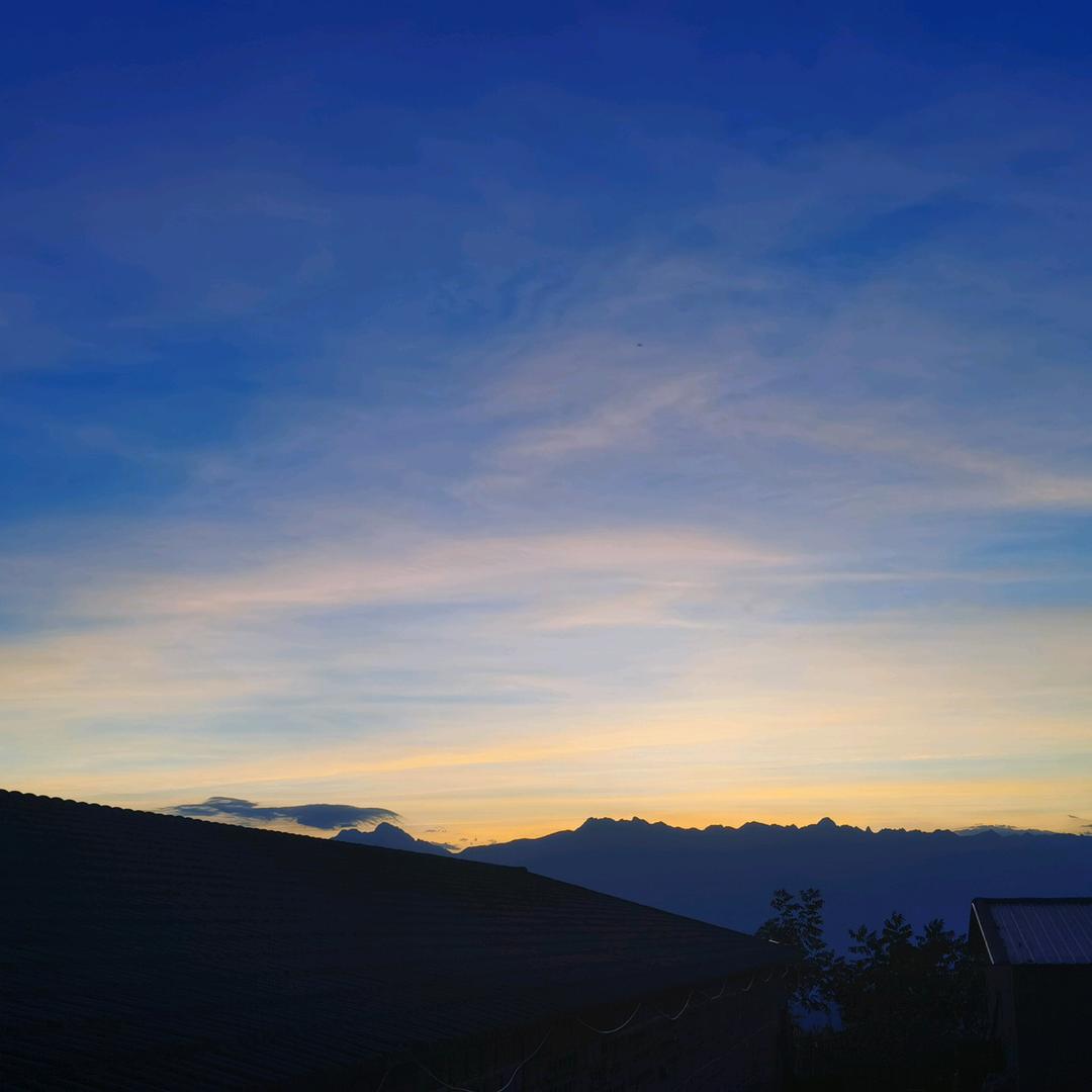 樱味源果树苗木专营店