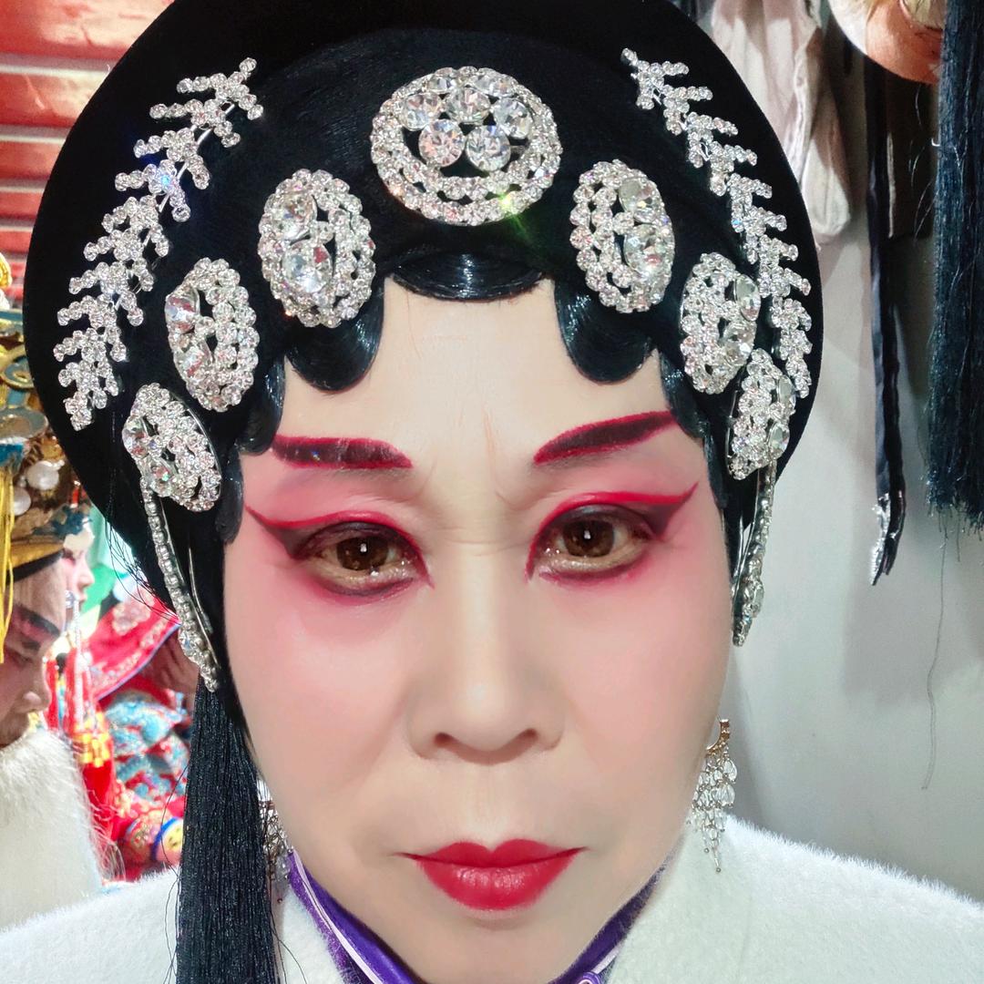 临泉艺术团自力更生