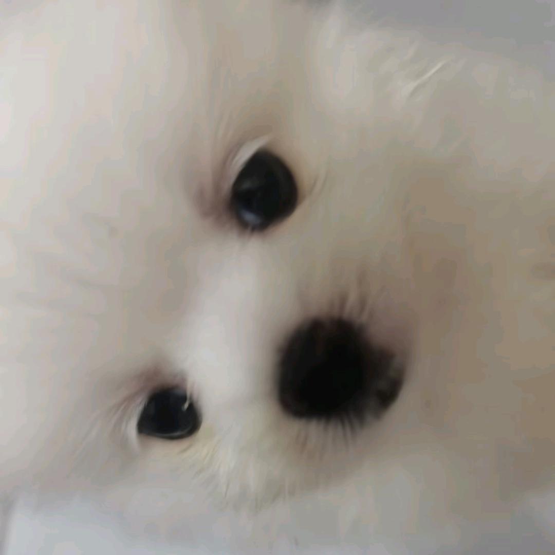 불완전한아이
