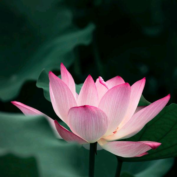 自由自在(๑°3°๑)