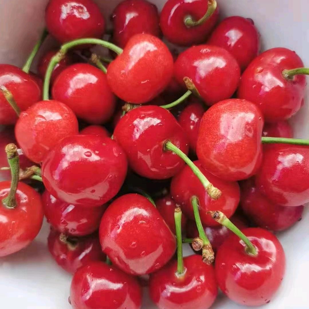 简单。。。。。