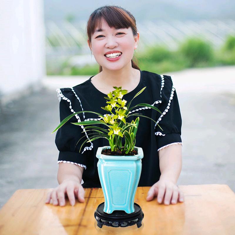 大众国兰漳州市大众国兰花卉种植有限公司绿植专卖店