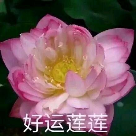 天生丽质